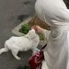 luux.marwa.1