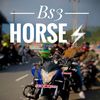 bs3_nakedhorse