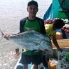 fadil.junior66