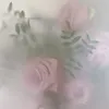 nana_._066