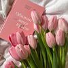natha_store012