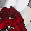lanya_889