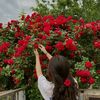 maryam.khan0426