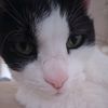 matko0902