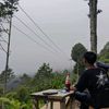 falanaksoleh0
