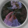 adeeb5847