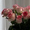 user7886173887074