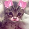 naiisukaa_h