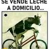 dilver.alberto.qu1