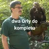 januszgonciarz0