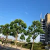 ijcunknown