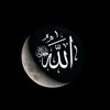 shahdalanzi78