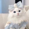 user92753768813043rana