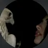 di_77d4