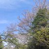 naoki_202