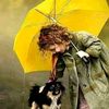 elif.elo37
