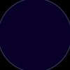 larin_1345