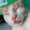 bongiuu2505