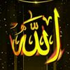 dawood.bhatti837