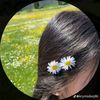 sara.moheden2
