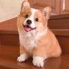 ludmila_54410452