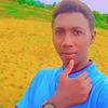 user87968485814331