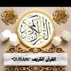 user7198231813552