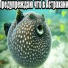 zernoed6