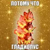 mopi2861