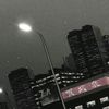 horni_13