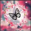 user8037177167672