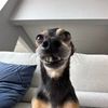 beanerr32