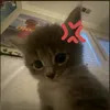 deathheartt0
