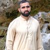 raja.tanveer462