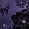 star_emma01