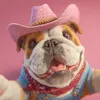 lookatme_dog