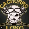 cachorrolouco269