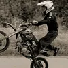 gangermoto