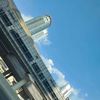 shoaibgondal122