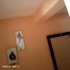user7370238114499