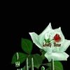 ridha.mhasni