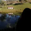 rayrexy.trex