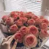 user5786190749488