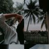 mawar.mawar867