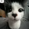 ali.shka78