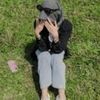 alamsyahsimbolon4