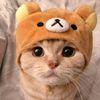 jk_sbooky