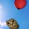 catwithbaloon