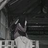xyz_hana_y