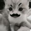 camila.lover1